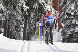 Bildergalerie Volkslanglauf Toblach-Cortina