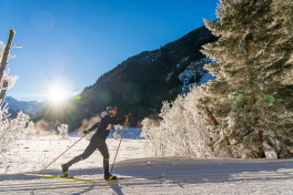 Untertal und Wörschachwald: Auf Entdeckungstour in der Region Schladming-Dachstein