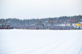 100. Vasaloppet: Alles Wissenswerte zum Jubiläum des größten Skimarathons der Welt