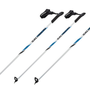 Salomon R20 Junior Poles