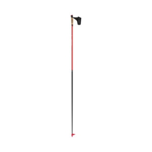 Atomic Redster Carbon QRS Poles