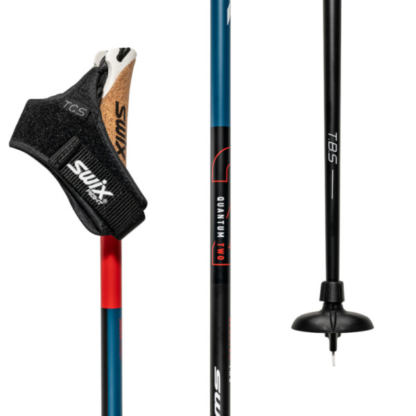 Swix Quantum Q2 Poles PC