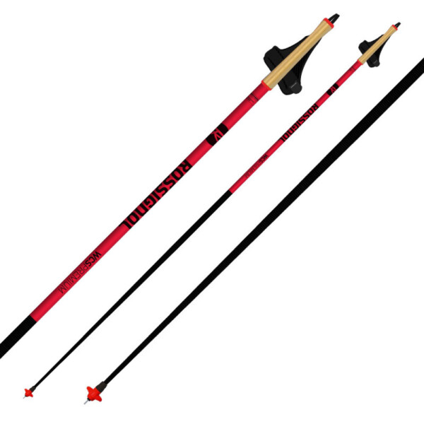 Rossignol WCS Premium Pole